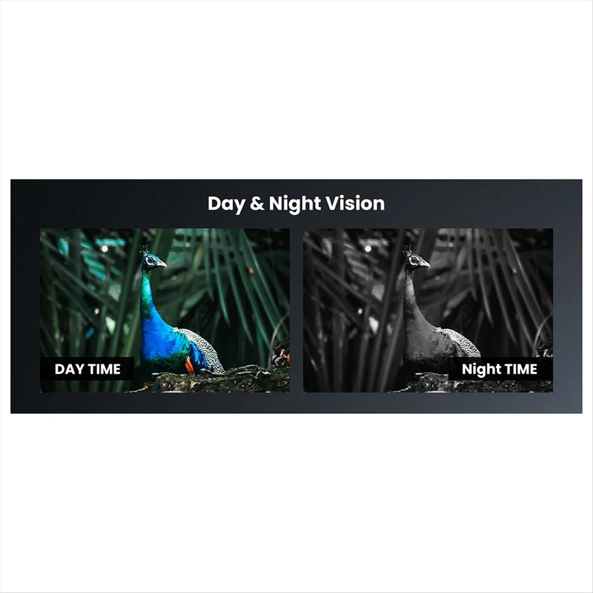 Night Vision Scope For Crossbow - Y60A 새로운 야간 투시경(크로스보우용 IR850 적외선